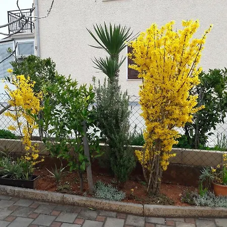 Apartment With A Parking Space Novigrad - 15227 *